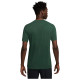 Nike Ανδρική κοντομάνικη μπλούζα Dri-FIT Energy Trail Running Tee